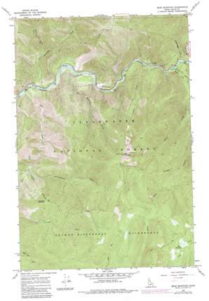 Bear Mountain USGS topographic map 46114d8
