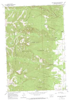 Saint Mary Peak USGS topographic map 46114e2