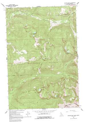 Ranger Peak USGS topographic map 46114e4