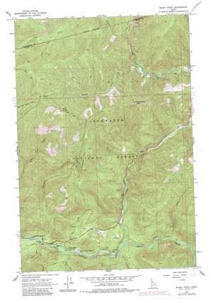 Rocky Point USGS topographic map 46114e6