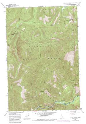 Cayuse Junction topo map