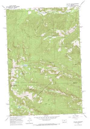 Carlton Lake USGS topographic map 46114f2