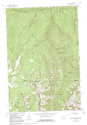 Dick Creek USGS topographic map 46114f3