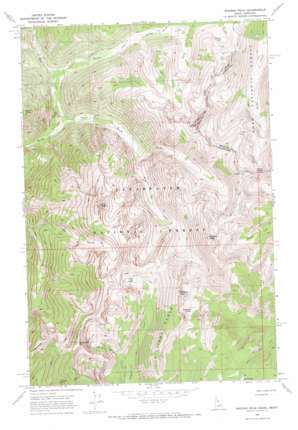 Rhodes Peak USGS topographic map 46114f7