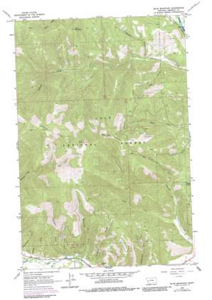 Blue Mountain USGS topographic map 46114g2