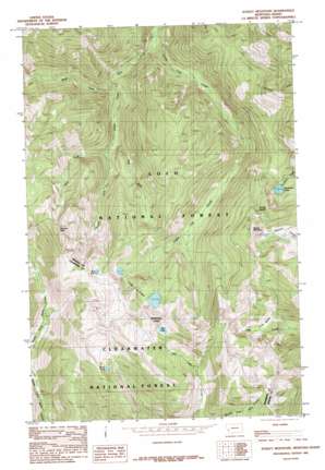 Schley Mountain USGS topographic map 46114g7