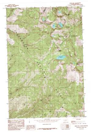 Bruin Hill USGS topographic map 46114g8