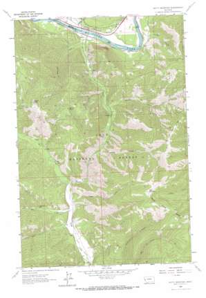 Petty Mountain USGS topographic map 46114h4