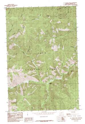 Saint Patrick Peak USGS topographic map 46114h7