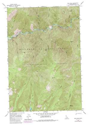 Mink Peak topo map