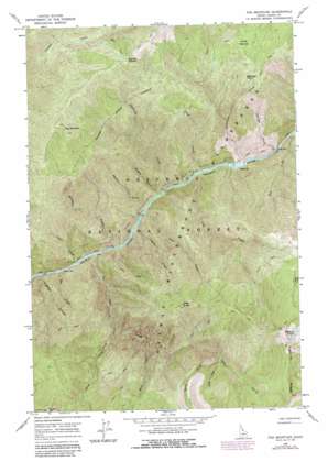 Fog Mountain USGS topographic map 46115a2