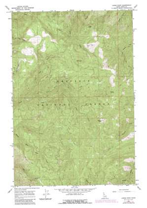 Lodge Point topo map