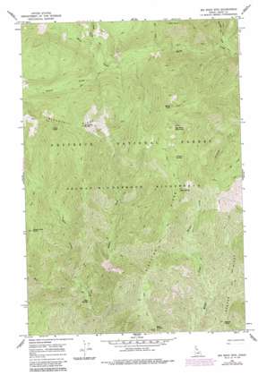 Big Rock Mountain USGS topographic map 46115b1