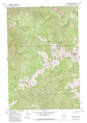 Chimney Peak USGS topographic map 46115b3