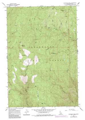 Boundary Peak USGS topographic map 46115c5