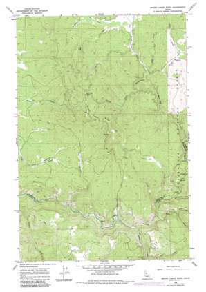 Brown Creek Ridge USGS topographic map 46115c7