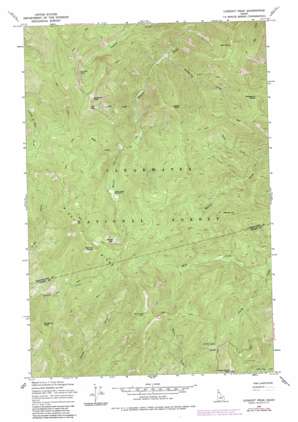 Lookout Peak USGS topographic map 46115e2