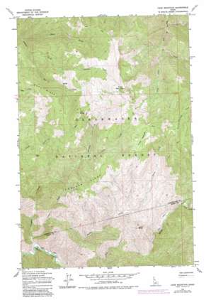 Cook Mountain USGS topographic map 46115e3