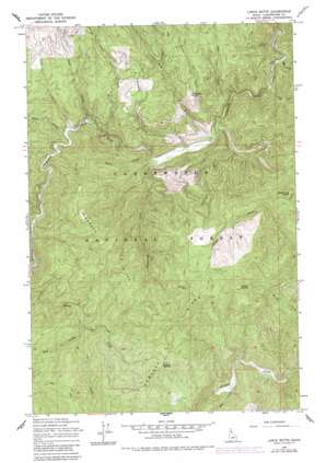 Larch Butte topo map