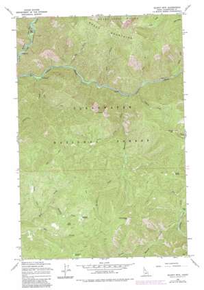 Gorman Hill USGS topographic map 46115f2