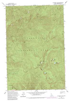 Elizabeth Lake topo map