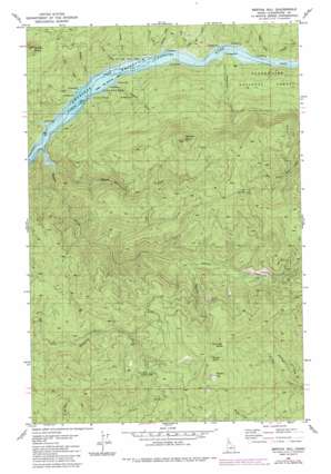 Bertha Hill USGS topographic map 46115g7