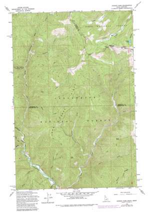Hoodoo Pass USGS topographic map 46115h1