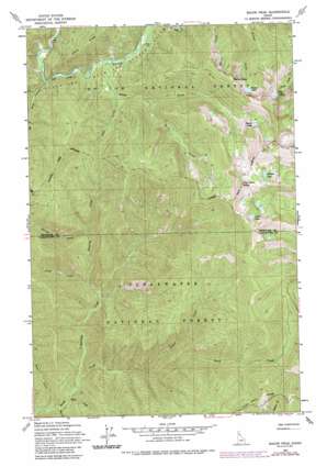 Bacon Peak USGS topographic map 46115h3