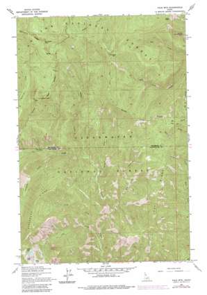 Pole Mountain USGS topographic map 46115h4