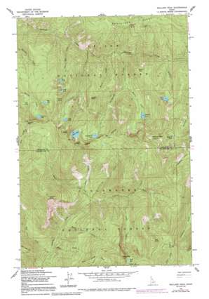 Mallard Peak USGS topographic map 46115h5