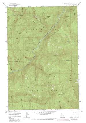 Buzzard Roost USGS topographic map 46115h6
