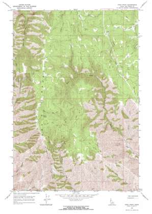 Frye Point USGS topographic map 46116a7