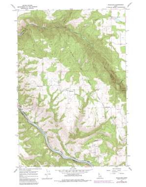 Woodland USGS topographic map 46116c1