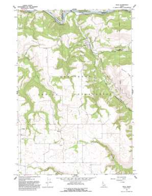 Peck USGS topographic map 46116d4