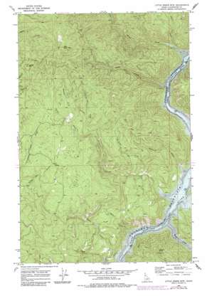 Little Green Mountain USGS topographic map 46116f1