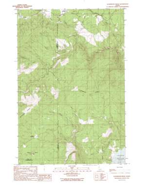 Aldermand Ridge USGS topographic map 46116f3