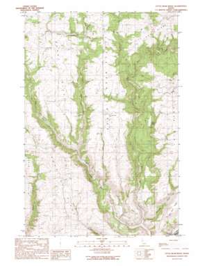 Little Bear Ridge USGS topographic map 46116f6