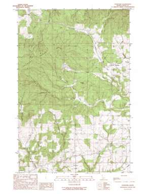 Stanford USGS topographic map 46116g6