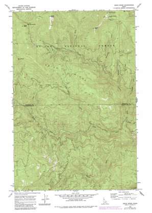 Grice Ridge USGS topographic map 46116h1