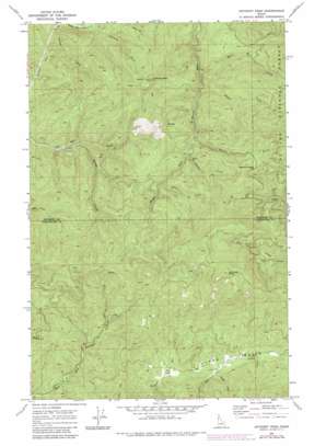 Anthony Peak USGS topographic map 46116h2