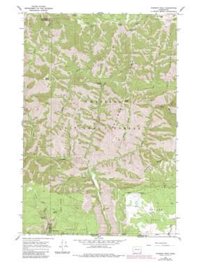Diamond Peak USGS topographic map 46117a5