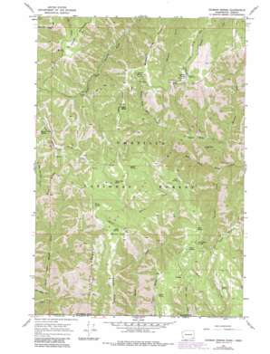 Godman Spring USGS topographic map 46117a7