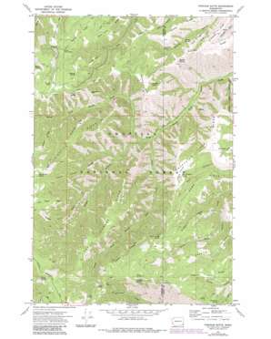Pinkham Butte topo map