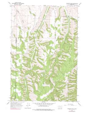 Eckler Mountain USGS topographic map 46117b8