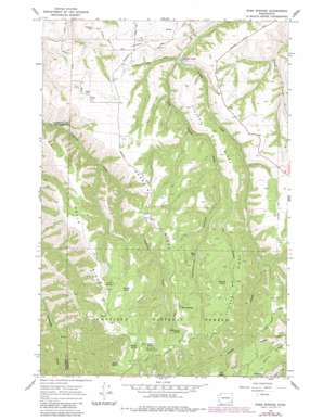 Rose Springs USGS topographic map 46117c5
