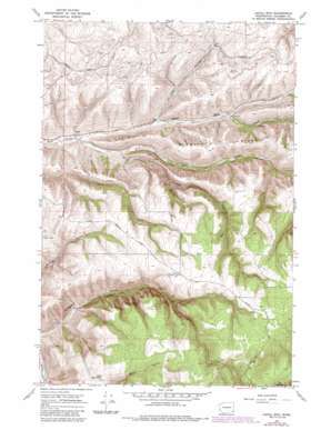 Cahill Mountain USGS topographic map 46117c7