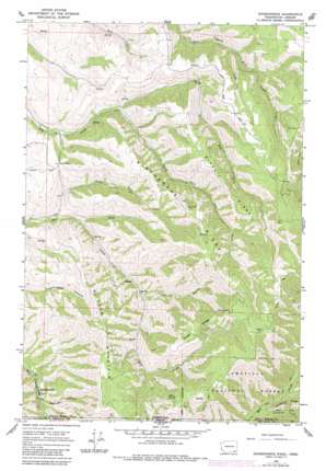 Walla Walla USGS topographic map 46118a1