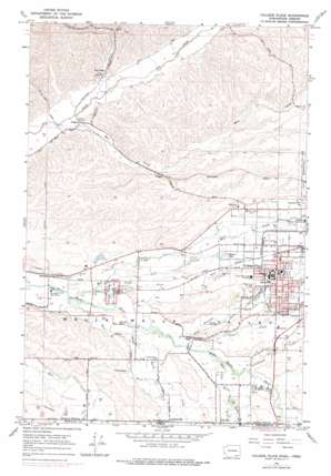 College Place topo map