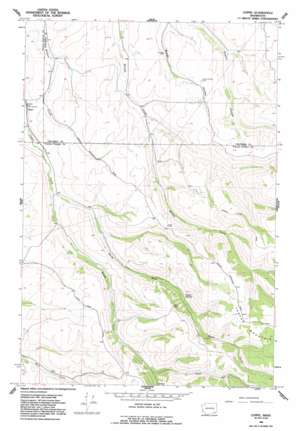 Coppei USGS topographic map 46118b1