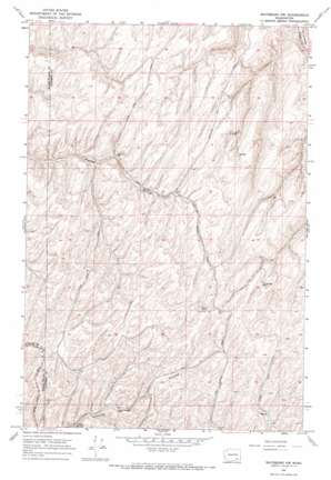 Waitsburg Nw USGS topographic map 46118d2